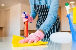 House Cleaner