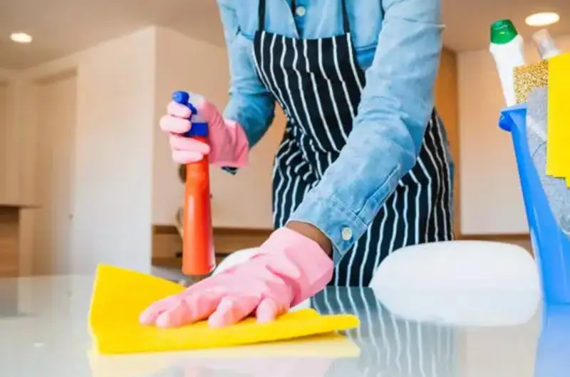 House Cleaner