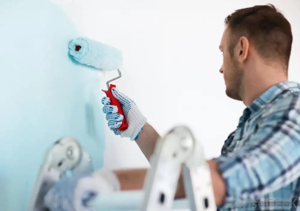 House Painter Pintor